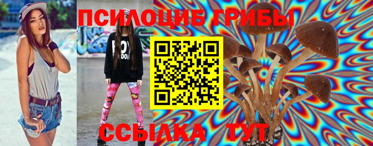 Галлюциногенные грибы мицелий Майкоп
