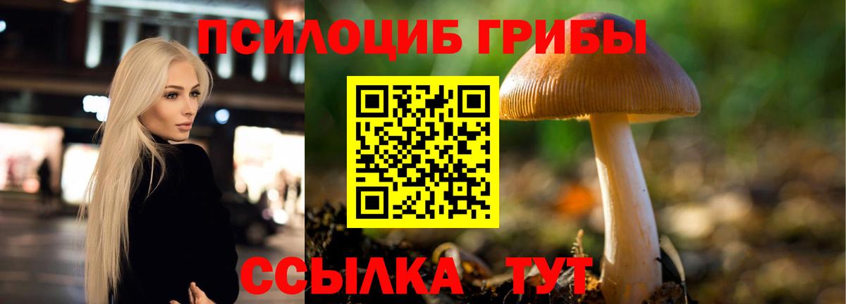 Майкоп  Галлюциногенные грибы Magic Shrooms  Псилоцибиновые грибы GOLDEN TEACHER  Вход с VPN 